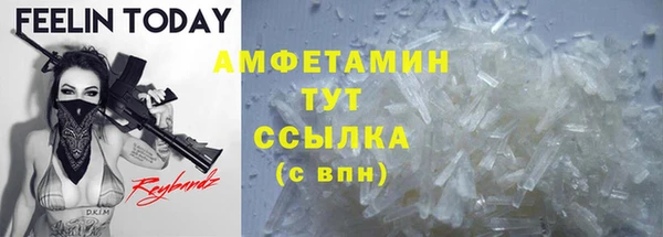 мдпв Пересвет