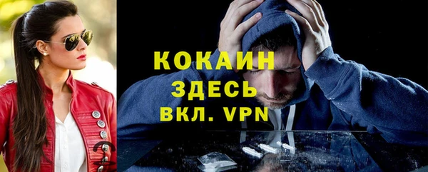 PSILOCYBIN Осташков