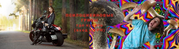 PSILOCYBIN Осташков