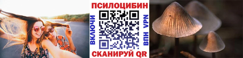 Галлюциногенные грибы мицелий  mega зеркало  Мамадыш 