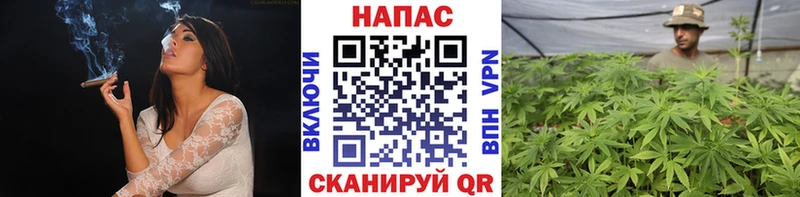 купить цена Мамадыш Марихуана индика